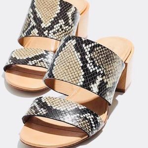 Madewell Kiera mule in snake